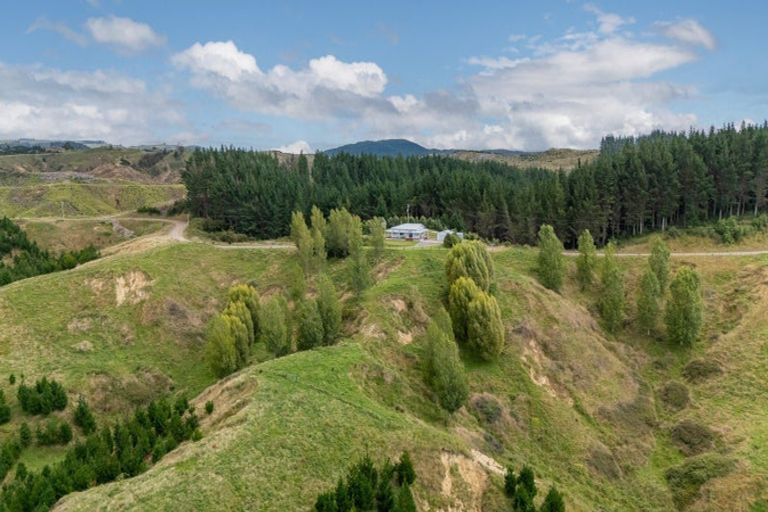 Photo of property in 438 Aropaoanui Road, Tangoio, Napier, 4181