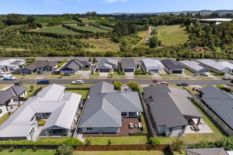 Photo of property in 19 Puhirake Crescent, Pyes Pa, Tauranga, 3112