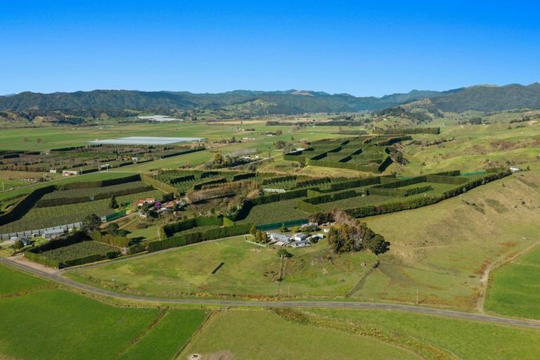 Photo of property in 31 Clark Cross Road, Otara, Opotiki, 3197