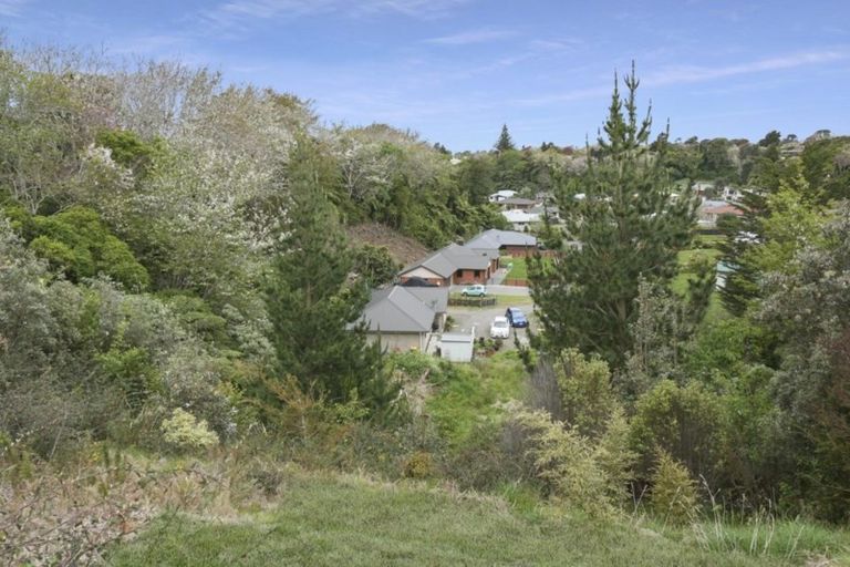 Photo of property in 12b Cherry Lane, Hurdon, New Plymouth, 4310