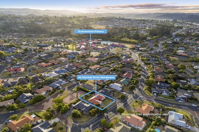 Photo of property in 42 Harvest Drive, Henderson, Auckland, 0612