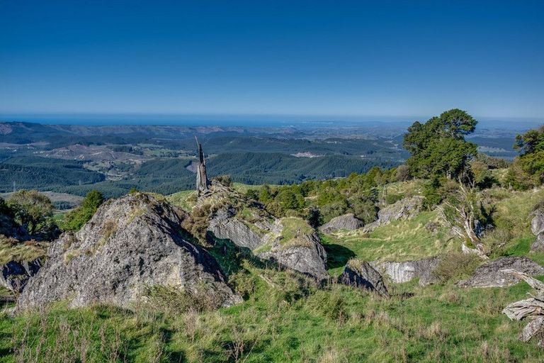 Photo of property in 3137 Taupo Road, Te Pohue, Napier, 4182