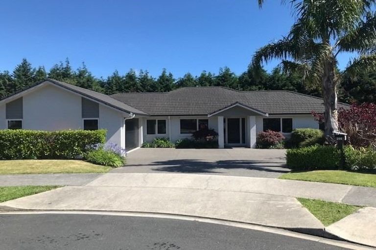 Photo of property in 206 Rowesdale Drive, Ohauiti, Tauranga, 3112