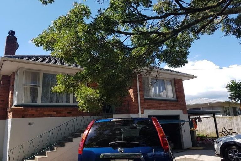 Photo of property in 48 Buscomb Avenue, Henderson, Auckland, 0610