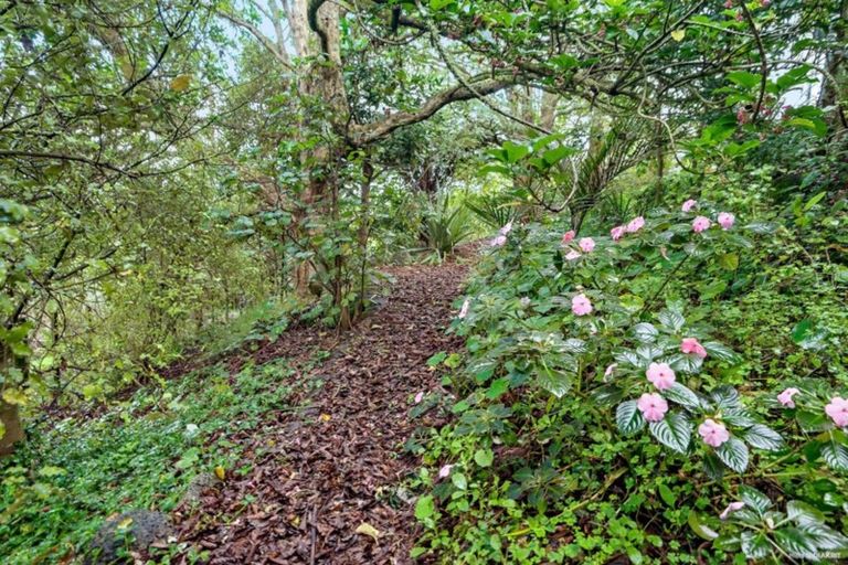 Photo of property in 559 Harrisville Road, Buckland, Pukekohe, 2677