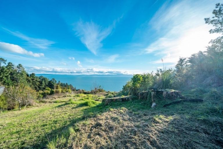 Photo of property in 45 Adams Road, Thornton Bay, Thames, 3575