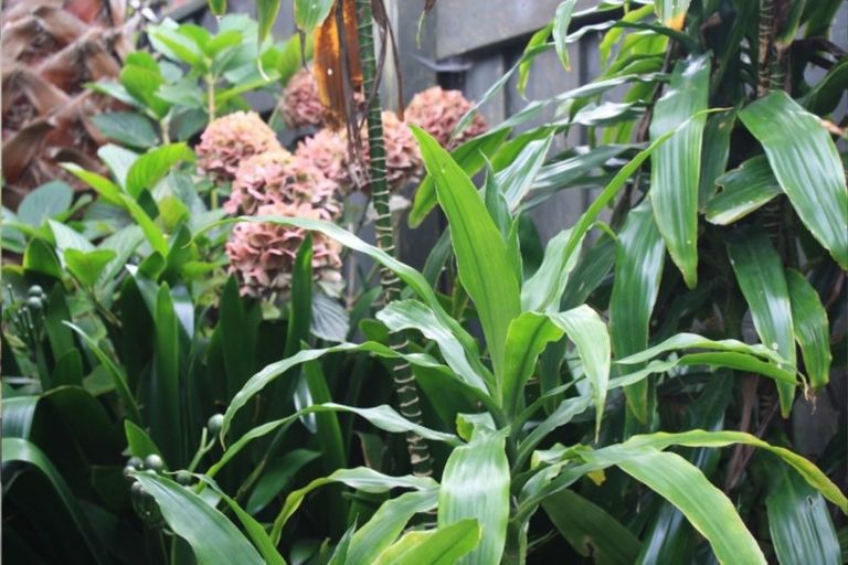 Photo of property in 44 Mangawhai Heads Road, Mangawhai Heads, Mangawhai, 0505