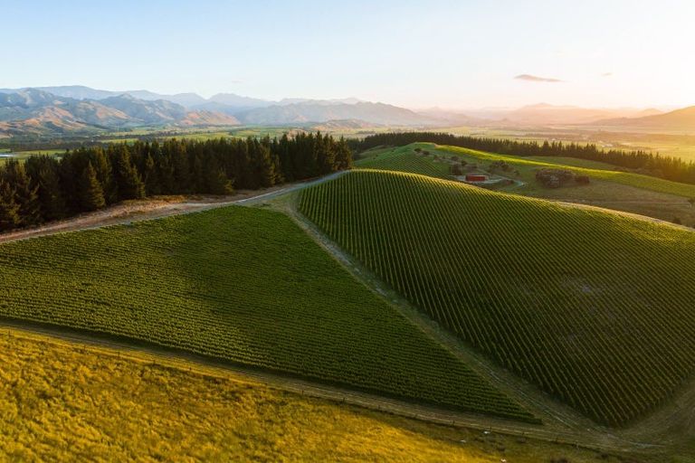 Photo of property in 417 Delta Lake Heights, Renwick, Blenheim, 7271