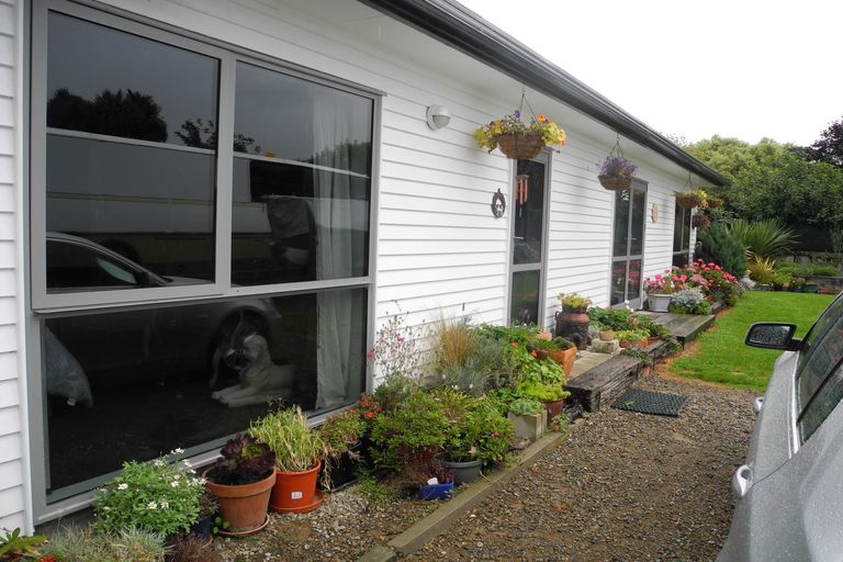 Photo of property in 50a Opie Street, Waimate, 7924