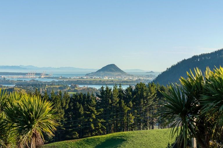 Photo of property in 157b Kaiate Falls Road, Waitao, Tauranga, 3175