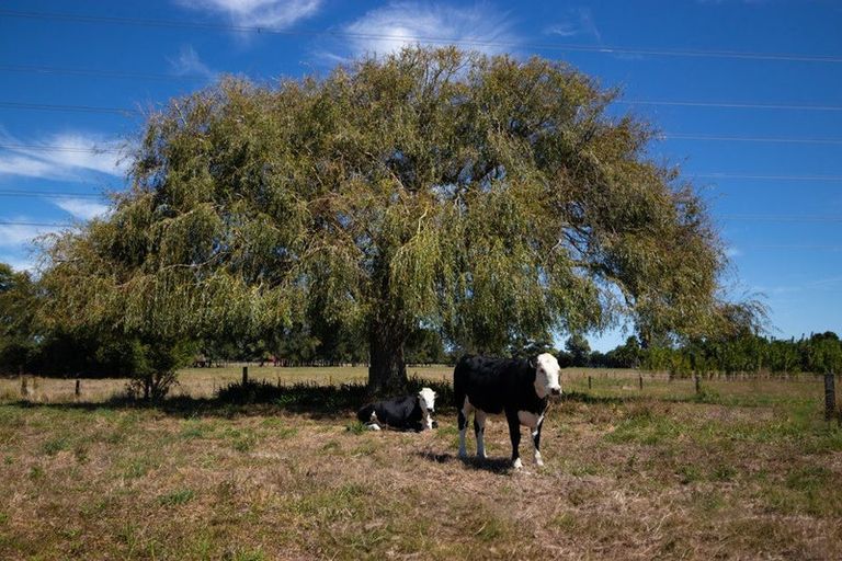 Photo of property in 46b Hana Lane, Tamahere, Hamilton, 3493