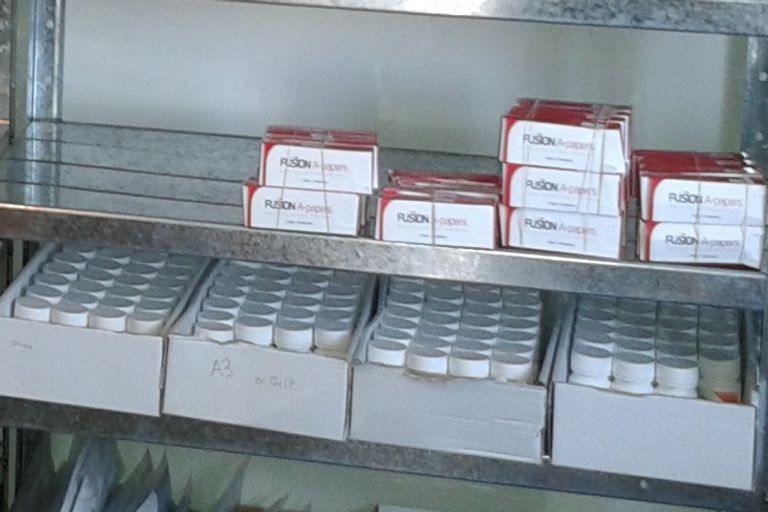 Photo of property in 703c Whatawhata Road, Whatawhata, Hamilton, 3285