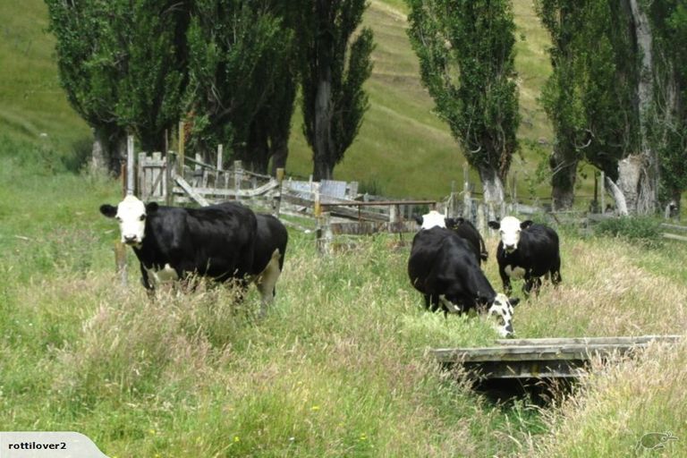 Photo of property in 2539 State Highway 2, Tangoio, Napier, 4181