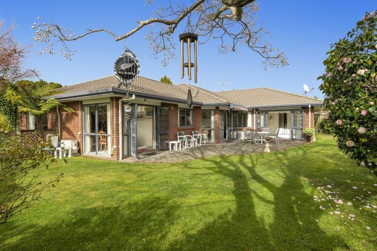 Photo of property in 33 Bethlehem Heights, Bethlehem, Tauranga, 3110
