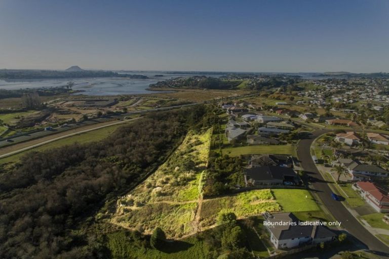 Photo of property in 79 Sapphire Drive, Hairini, Tauranga, 3112