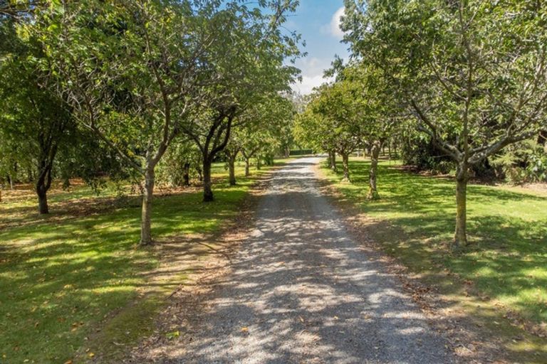 Photo of property in 82 Moiki Road, Martinborough, Greytown, 5794