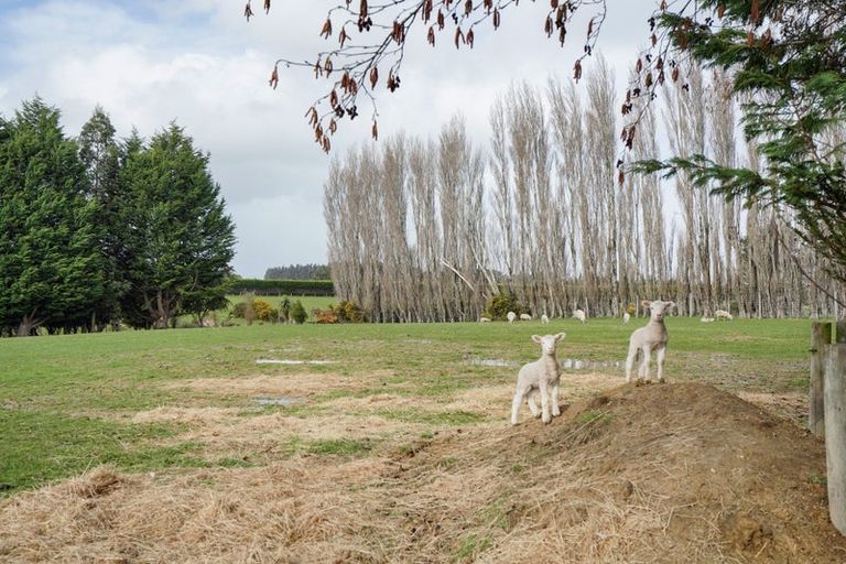 Photo of property in 70 Pomona Road East, Makarewa, Invercargill, 9876