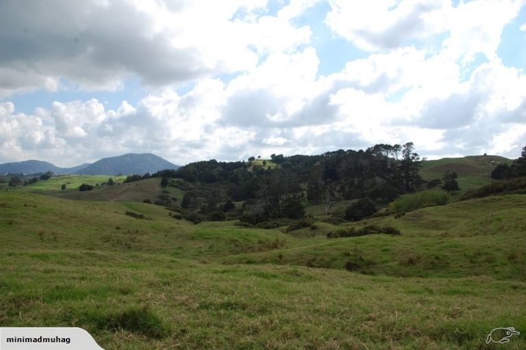 Photo of property in 229 Settlement Road, Kaiwaka, 0573