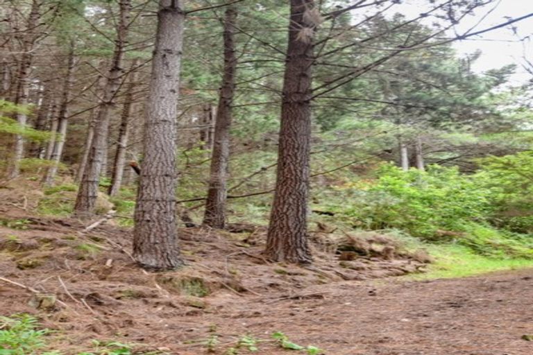 Photo of property in 578 Le Bons Bay Road, Le Bons Bay, Akaroa, 7583