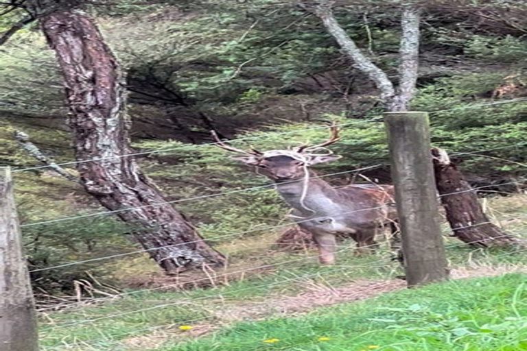 Photo of property in 1314 Wairamarama Onewhero Road, Onewhero, Tuakau, 2697