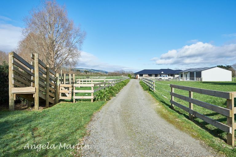 Photo of property in 1334 Napier Road, Ashhurst, 4810