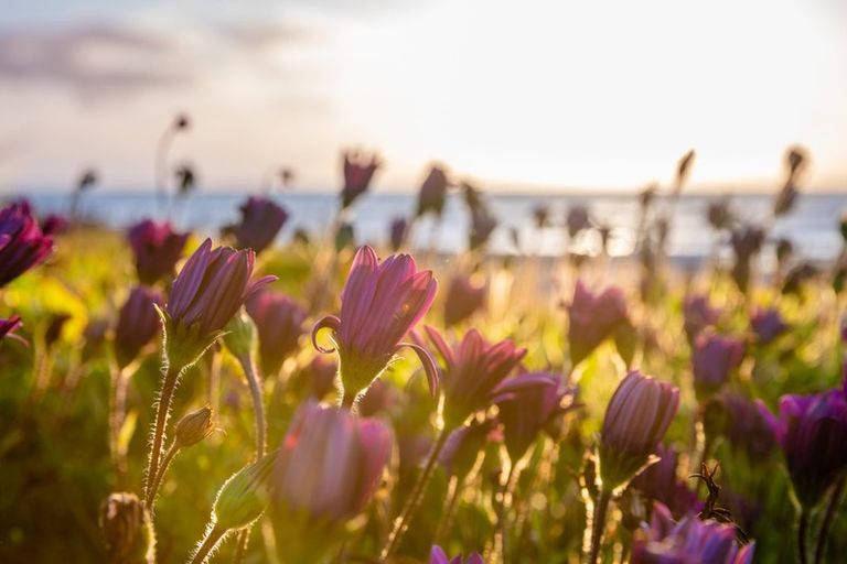 Photo of property in 22 Aperahama Street, Paekakariki, 5034