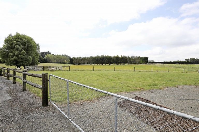 Photo of property in 141 Drysdale Road, Myross Bush, Invercargill, 9872
