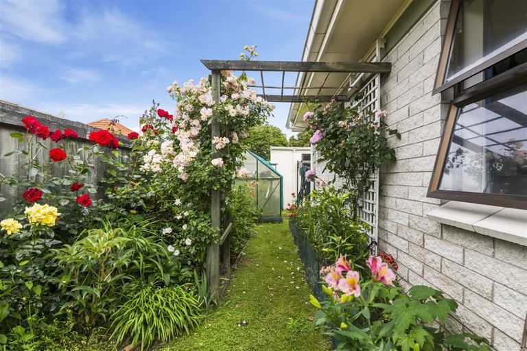 Photo of property in 127c Ranolf Street, Glenholme, Rotorua, 3010