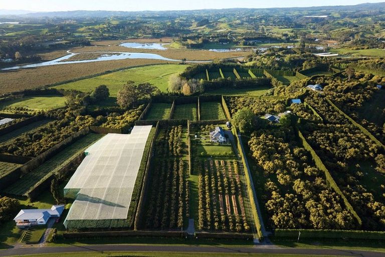 Photo of property in 46 Prestidge Road, Aongatete, Katikati, 3181