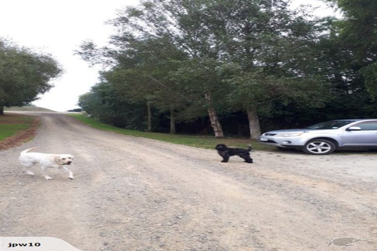 Photo of property in 16 Perth Street, Waikouaiti, 9510