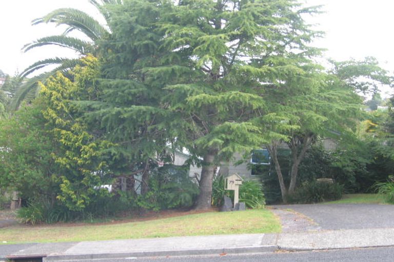 Photo of property in 79a Girrahween Drive, Totara Vale, Auckland, 0629