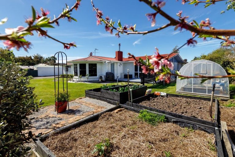 Photo of property in 22 Brook Street, Renwick, 7204