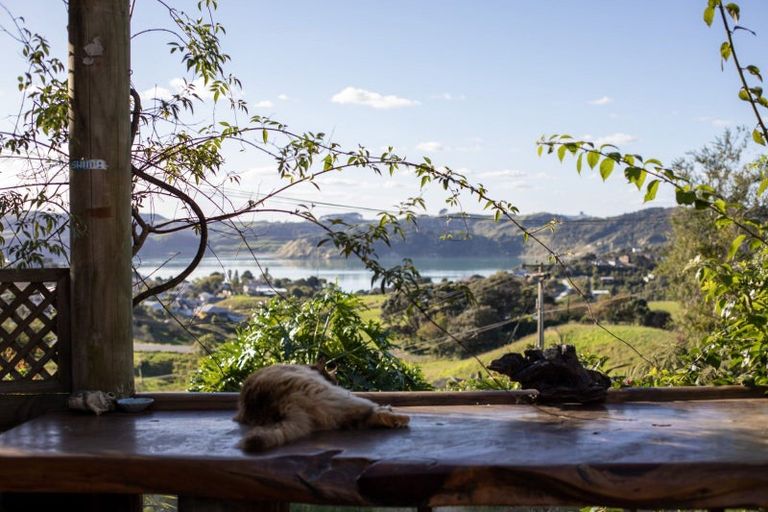 Photo of property in 18 Cornwall Road, Raglan, 3295