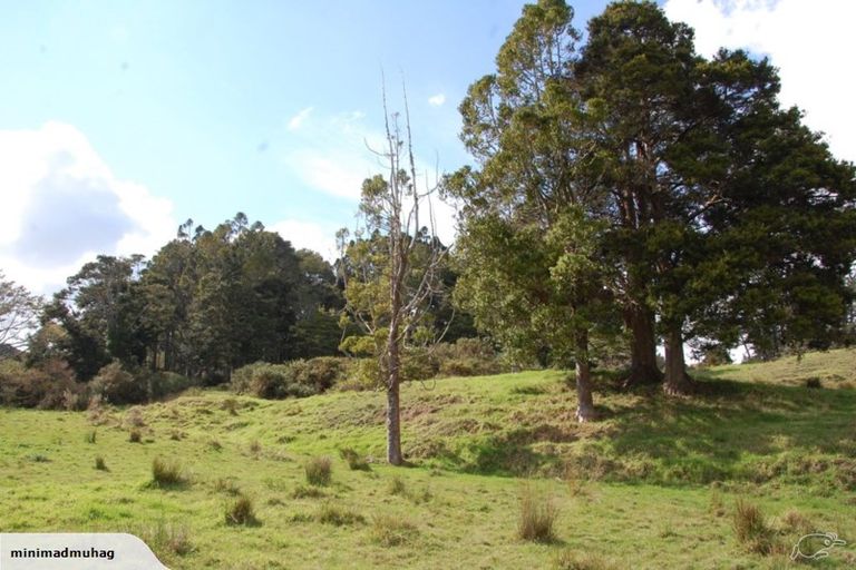 Photo of property in 229 Settlement Road, Kaiwaka, 0573