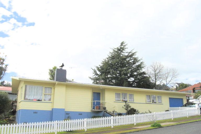 Photo of property in 100 Hays Place, Thames, 3500