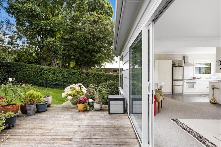 Photo of property in 117 Highgate, Roslyn, Dunedin, 9010