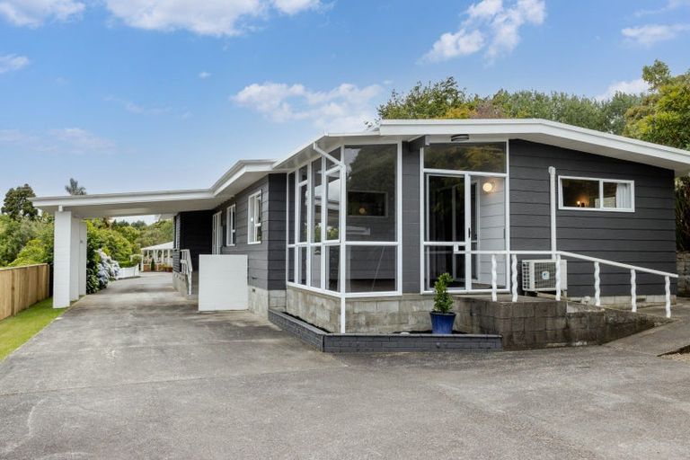 Photo of property in 66a Wakeman Street, Pahiatua, 4910