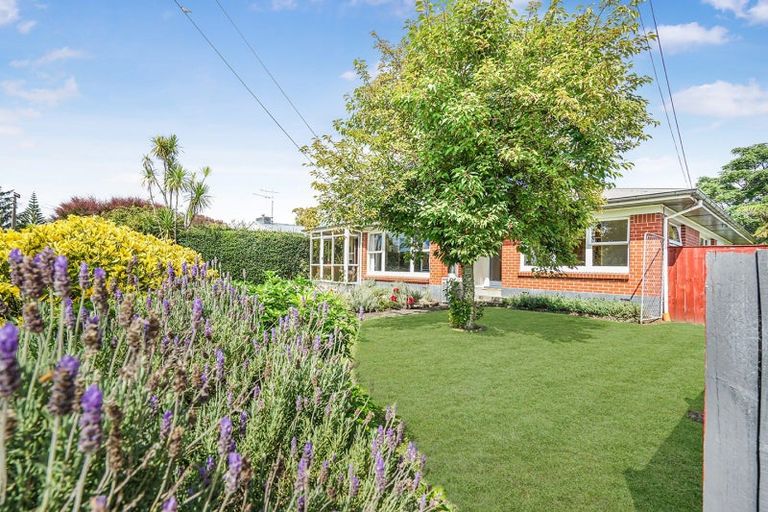 Photo of property in 11 Augusta Street, Fairfield, Hamilton, 3214