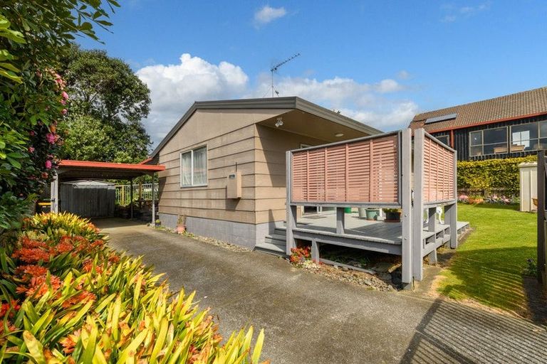 Photo of property in 191b Maungatapu Road, Maungatapu, Tauranga, 3112