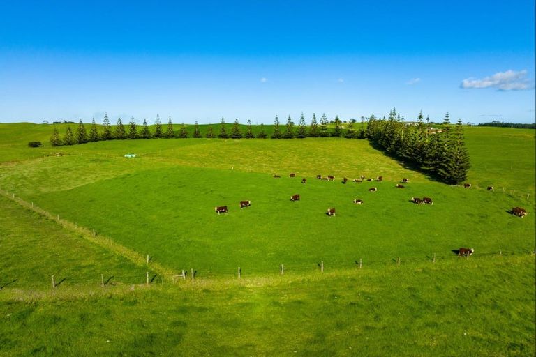 Photo of property in 1000 Redhill Road, Te Kopuru, Dargaville, 0371