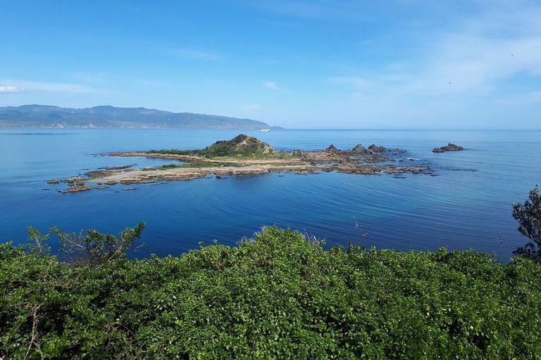 Photo of property in 31 High Street, Island Bay, Wellington, 6023