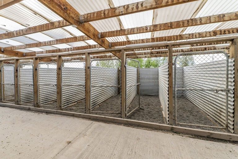 Photo of property in 199 Harts Road, Leeston, 7683