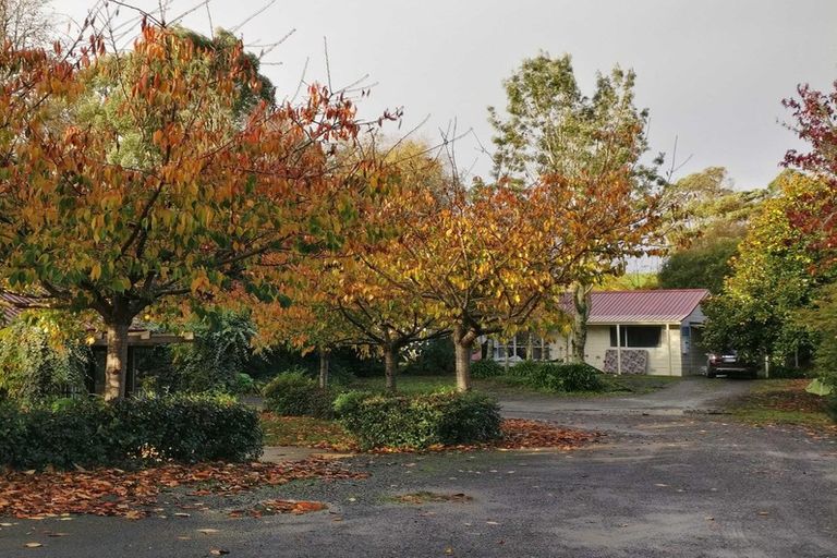 Photo of property in 55a Golding Road, Pukekohe, 2677