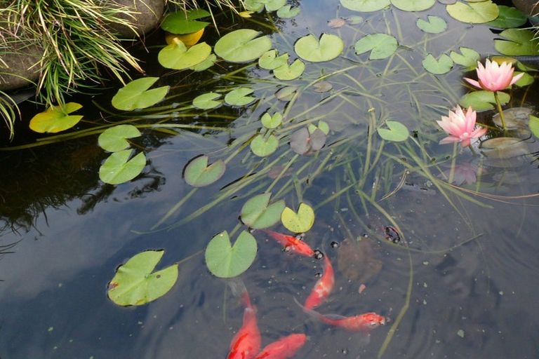 Photo of property in 46 Ruapapa Road, Frasertown, Wairoa, 4195