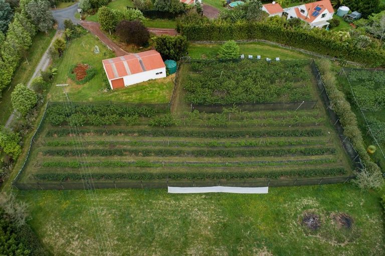 Photo of property in 297d Ross Road, Whakamarama, Tauranga, 3179