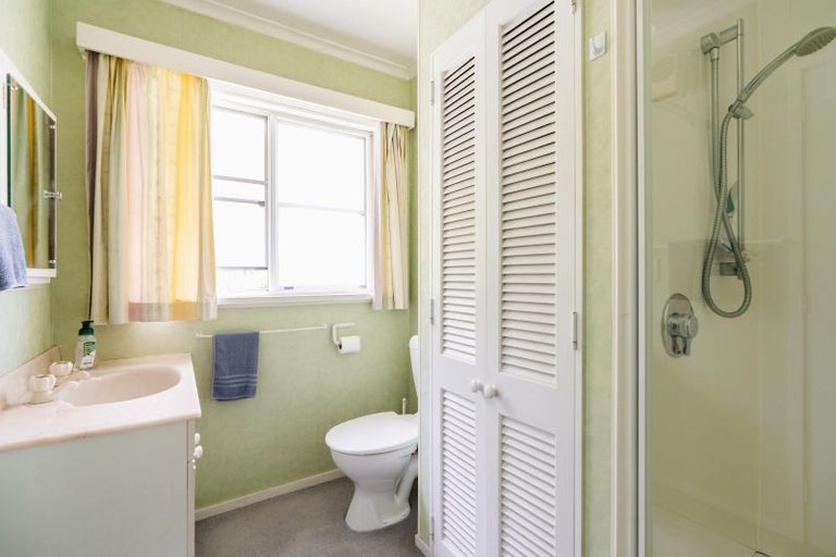 Photo of property in 39 Opoho Road, North East Valley, Dunedin, 9010