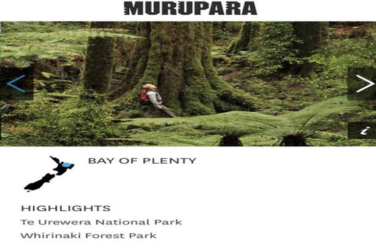 Photo of property in 33 Kauri Crescent, Murupara, 3025