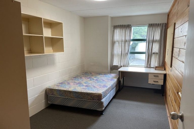 Photo of property in Te Awhina Apartments, 27/22 Sussex Street, Mount Cook, Wellington, 6021