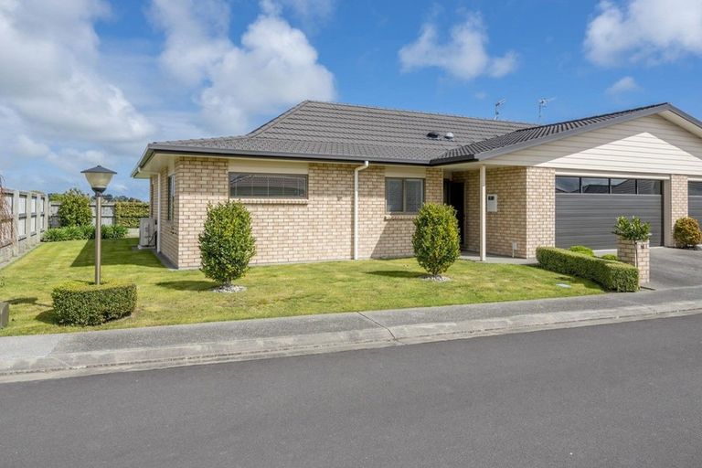 Photo of property in 57/91 Mako Mako Road, Levin, 5510