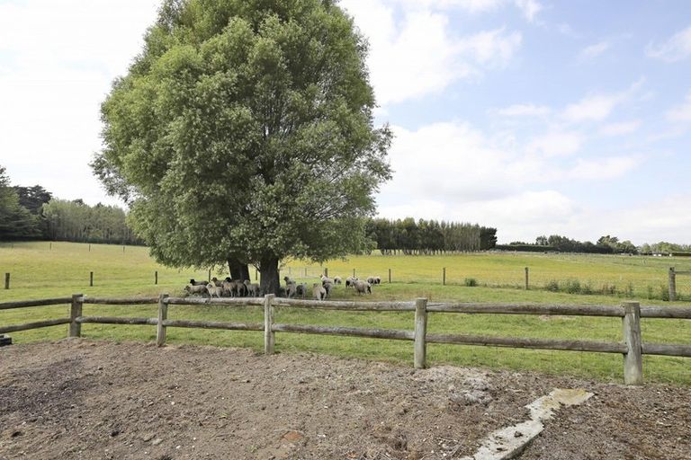 Photo of property in 141 Drysdale Road, Myross Bush, Invercargill, 9872